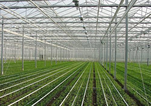 镀锌钢管用于温室大棚蔬菜大棚工程