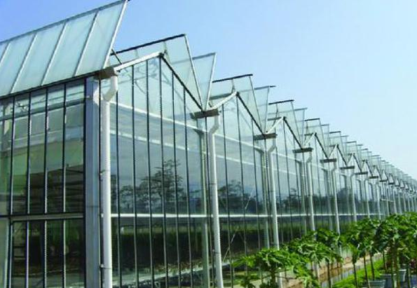 镀锌钢管用于温室大棚蔬菜大棚工程